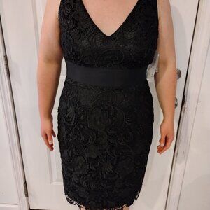 BEAUTIFUL Lace Adrianna Papell Evening Dress Size 16 (Runs Small) NWT